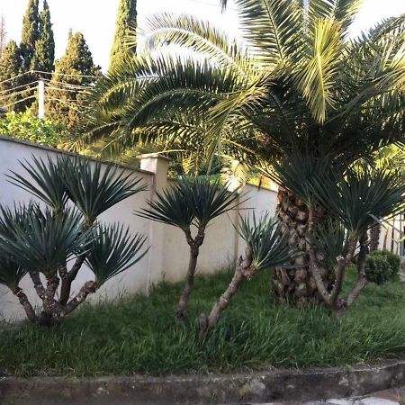 Guest House Dali Gagra Bagian luar foto