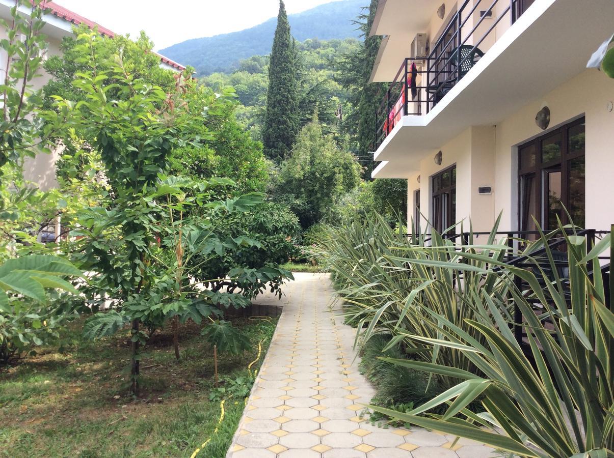 Guest House Dali Gagra Bagian luar foto