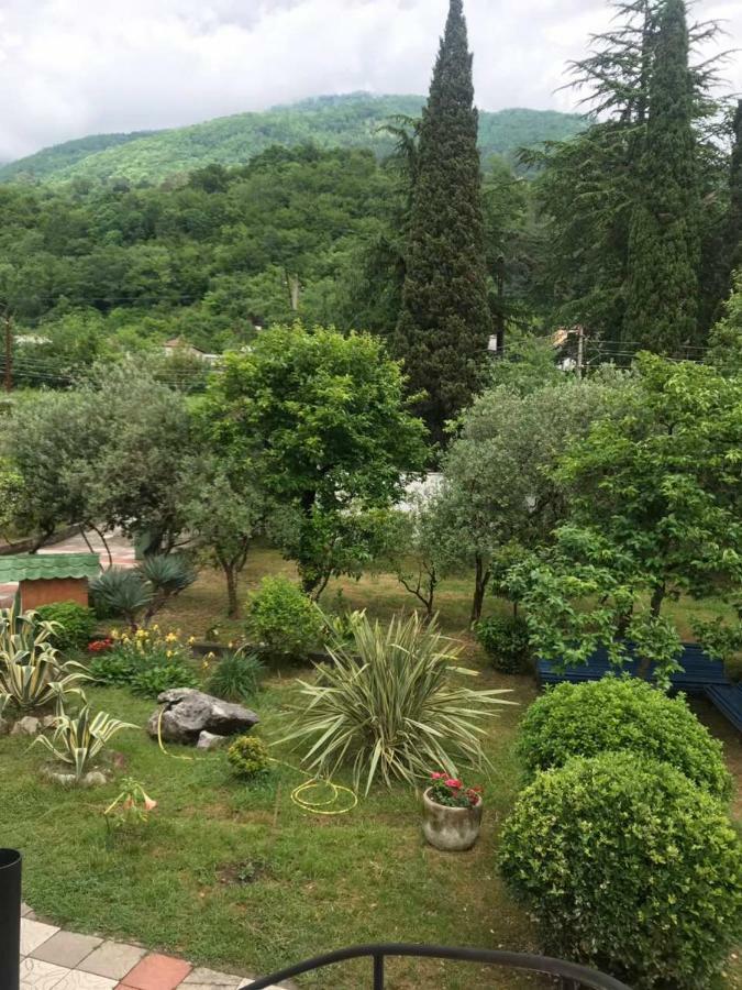 Guest House Dali Gagra Bagian luar foto