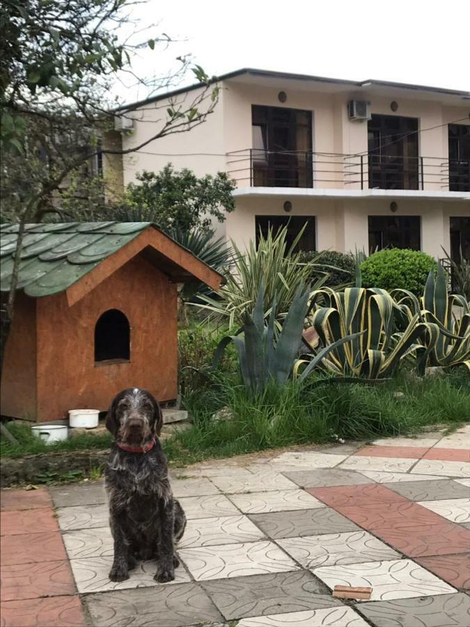 Guest House Dali Gagra Bagian luar foto